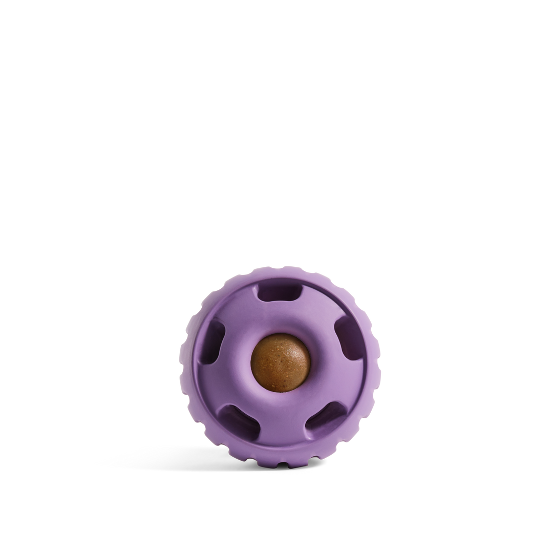 The Pupsicle - Lavender