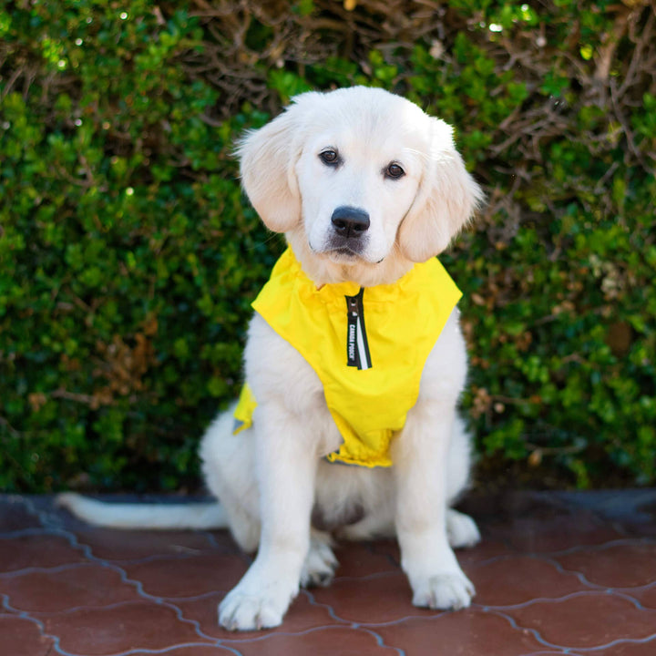 Grow-With-Me Dog Raincoat (Yellow)