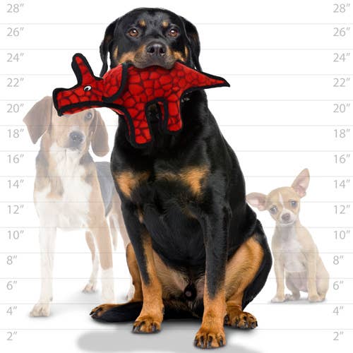 Tuffy Jr Dinosaur Triceratops, Durable, Squeaky Dog Toy