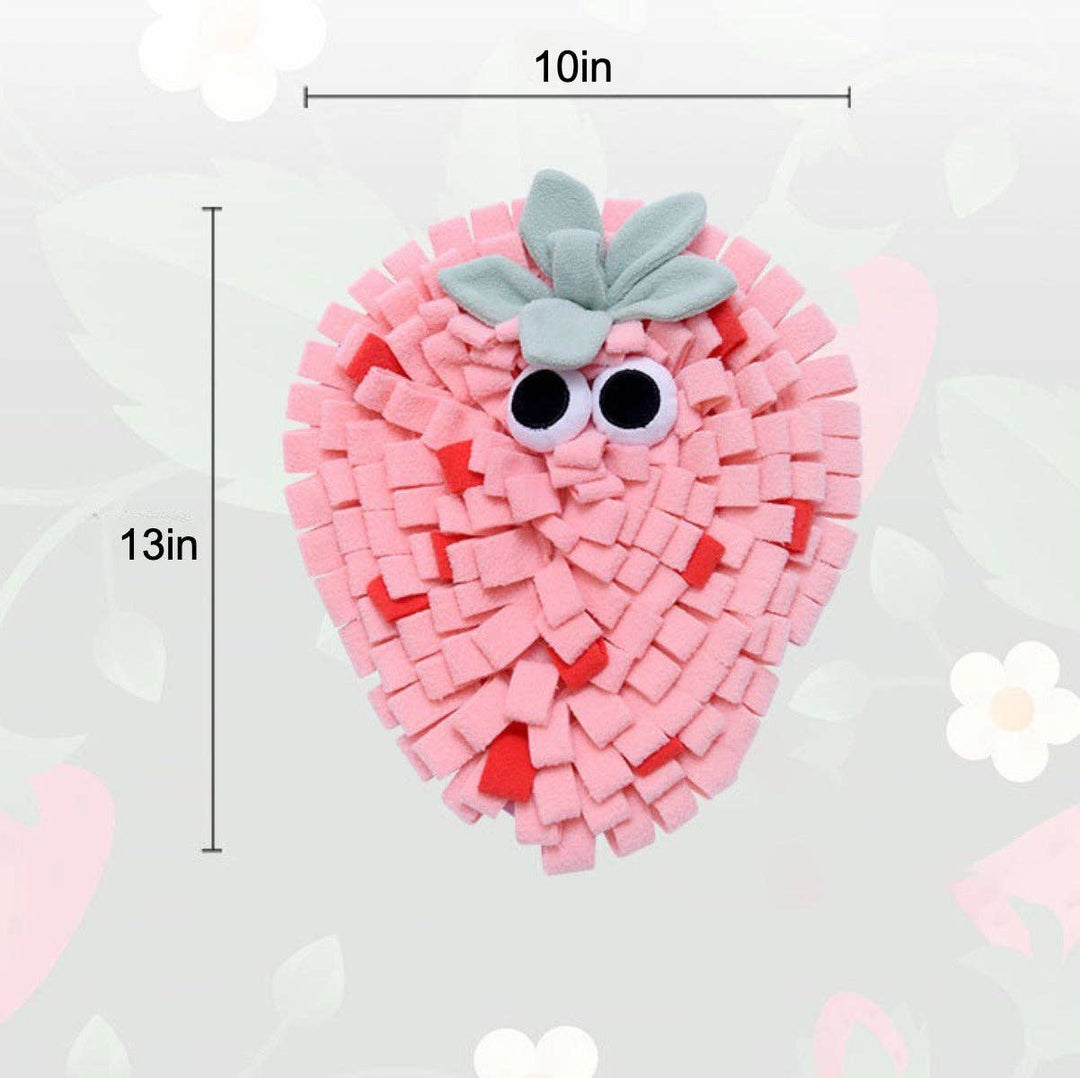 Fruit Snuffle Mat Enrichment for Pets