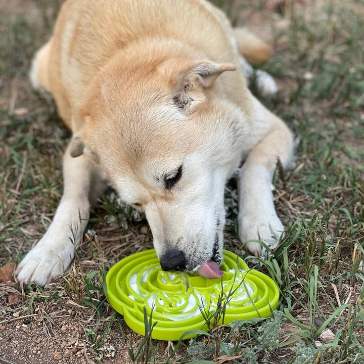 Water Frog Design eTray Enrichment Tray for Dogs - Green