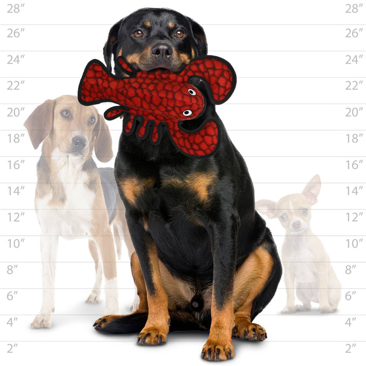 Tuffy Ocean Lobster, Squeaky Dog Toy
