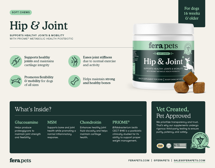 Hip + Joint Support Soft Chews for Dogs Pet Supplement