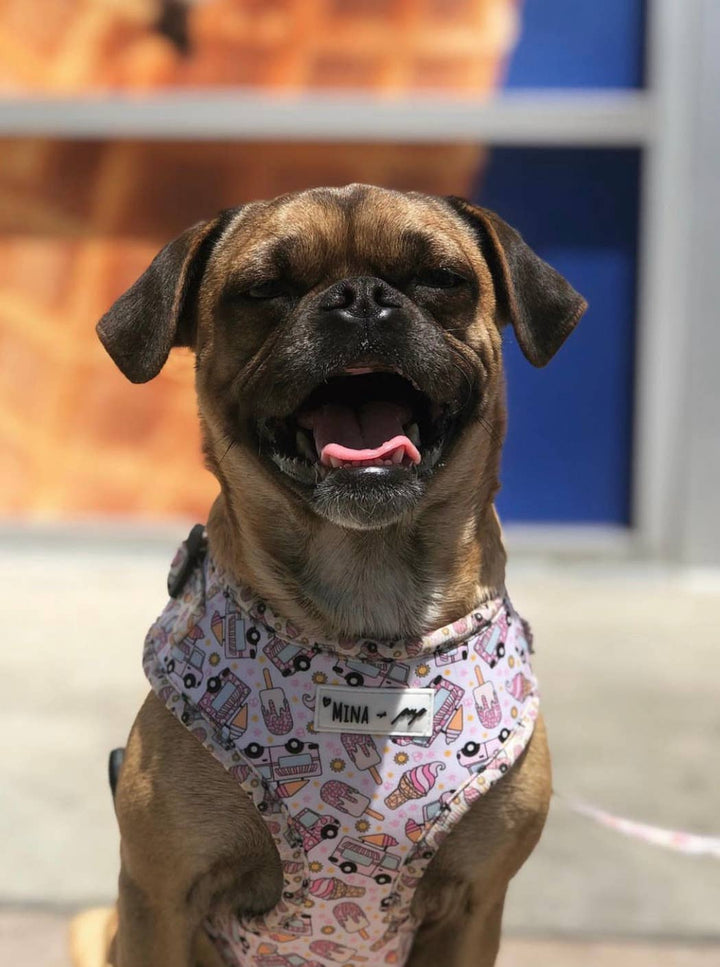 Ice Cream Dreams Adjustable Harness