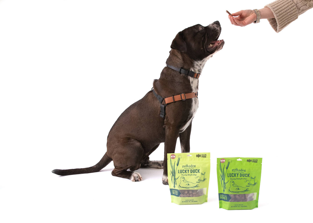 Lucky Duck (Bone Shaped) - 7oz - Dog Treats