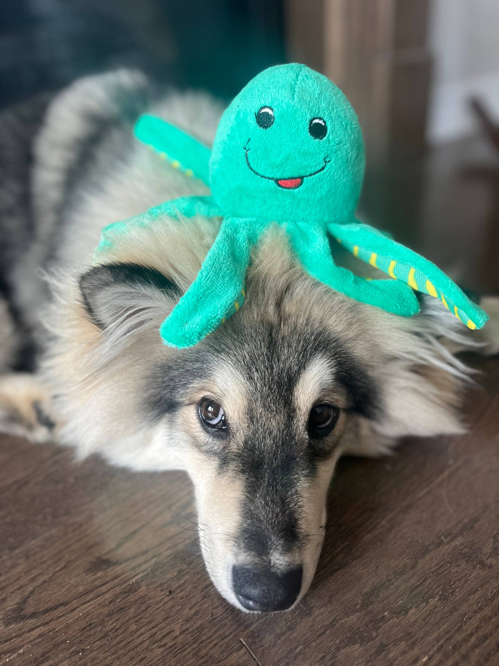 Clean Earth Recycled Plush Toys - 100% Sustainable