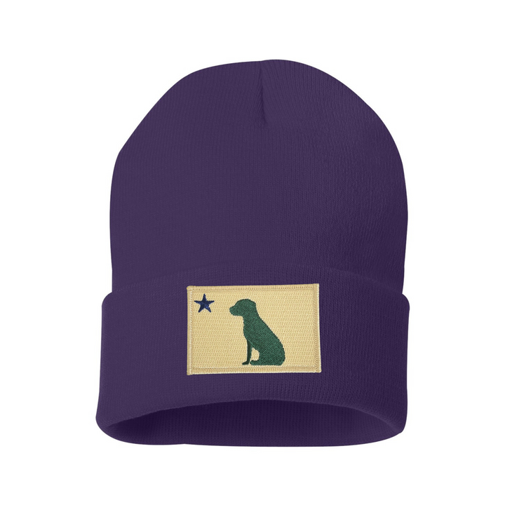 Dog 1901 Maine Flag Beanie