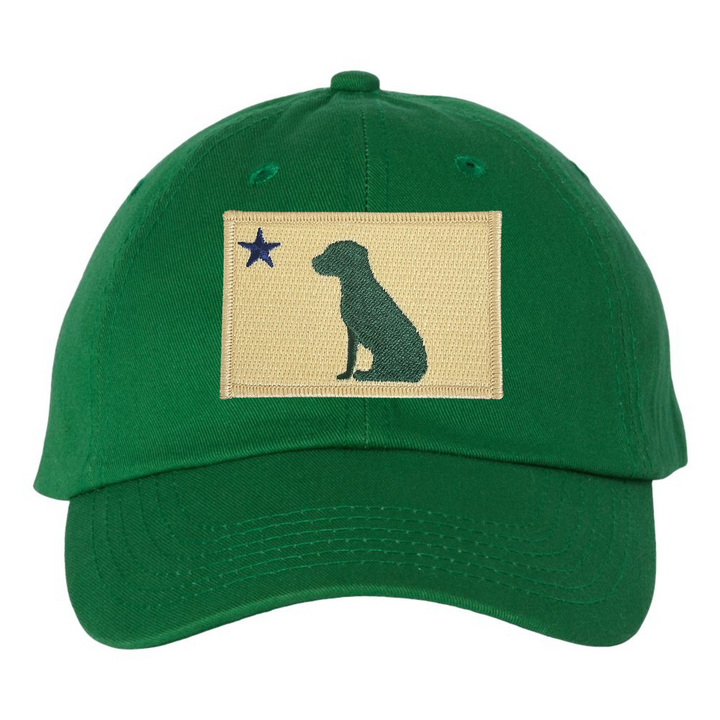 Dog 1901 Maine Flag Dad Hat