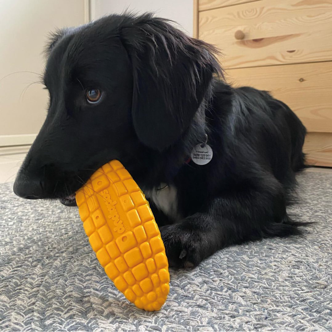 Corn on the Cob Chew Toy - Medium/Large