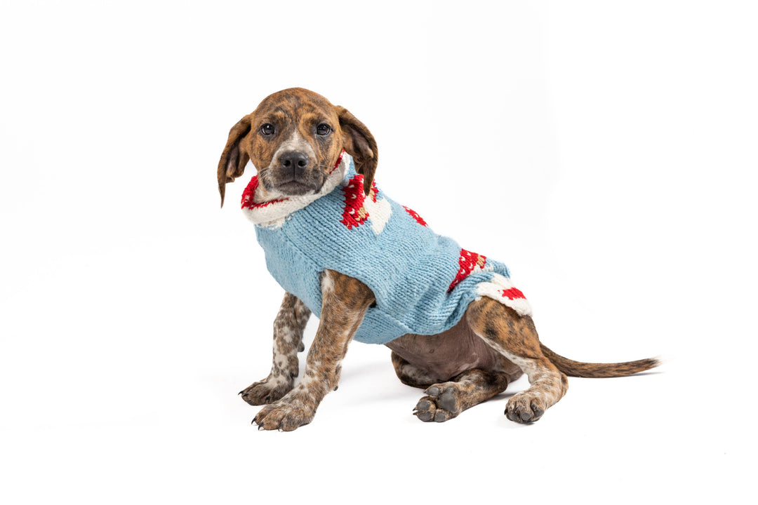 Mushroom Sweater