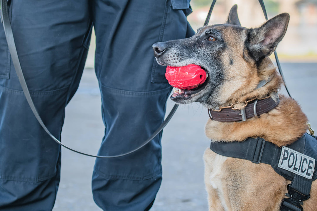 USA-K9 Grenade - Chew Toy - Red