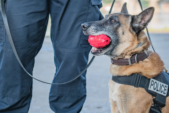 USA-K9 Grenade - Chew Toy - Red
