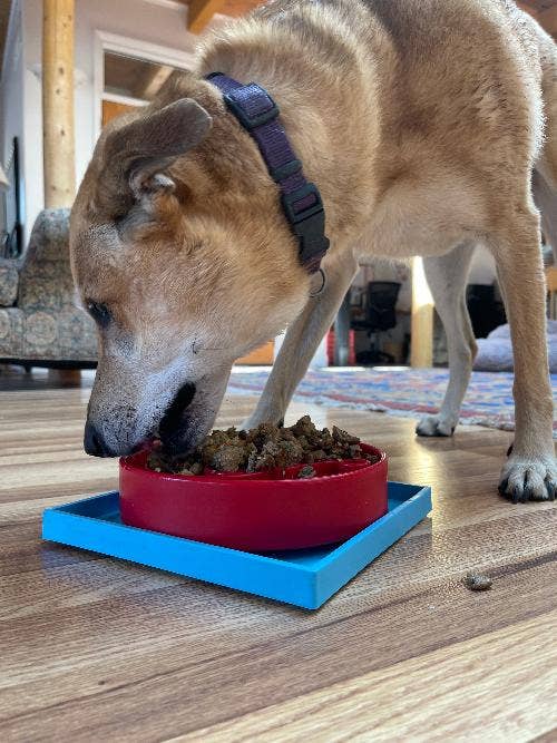 Hold 'em Suction Cup Holder for eBowls, eTrays, and eMats