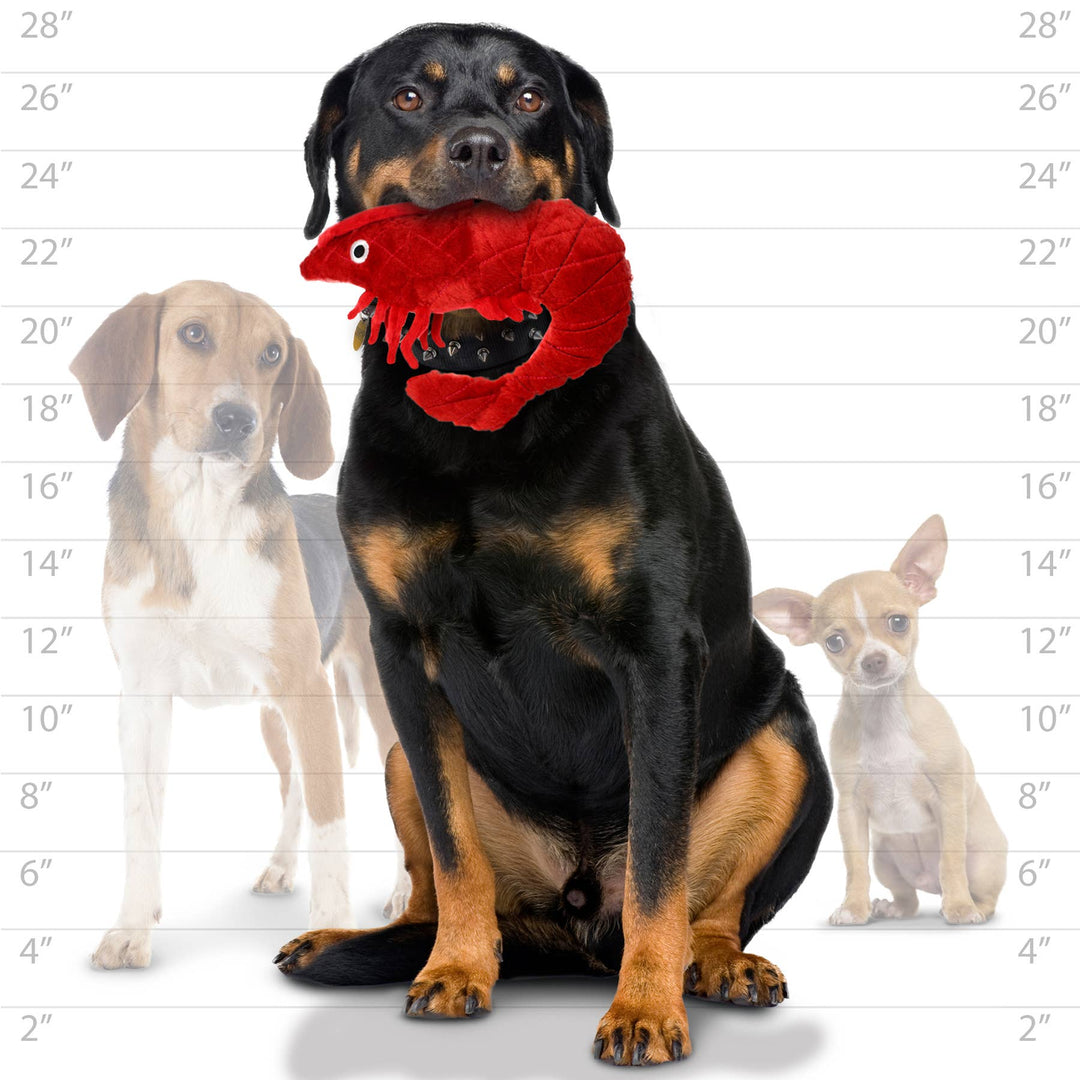 Mighty Ocean Prawn, Plush, Squeaky Dog Toy