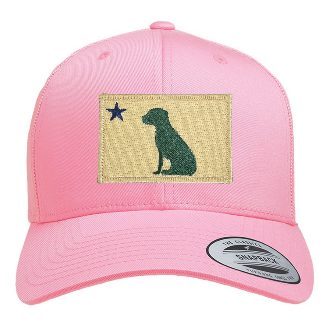 Dog 1901 Maine Flag Trucker Hat