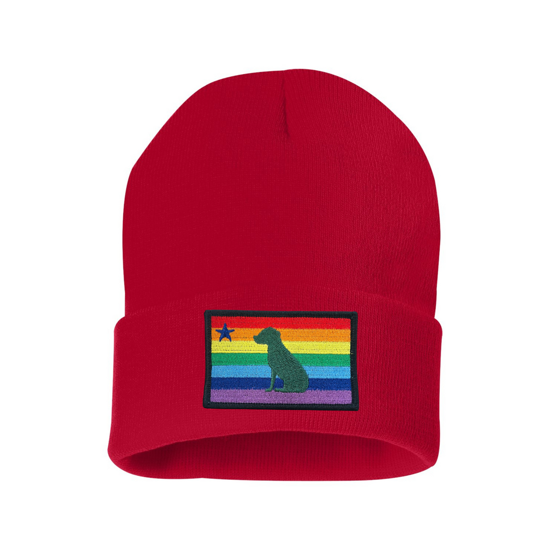 Rainbow Dog 1901 Maine Flag Beanie