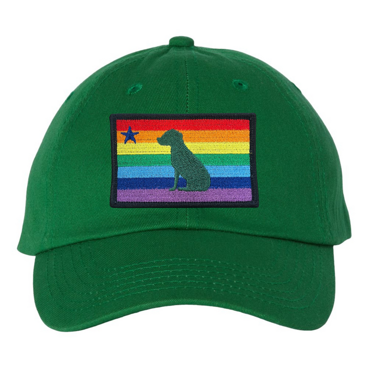 Rainbow Dog 1901 Maine Flag Dad Hat