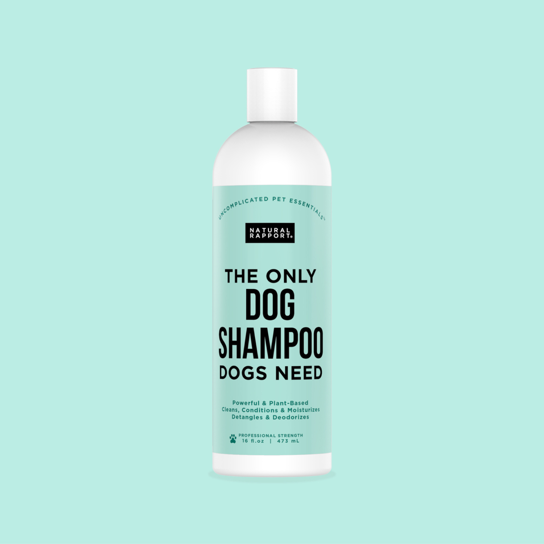 The Only Dog Shampoo Dogs Need