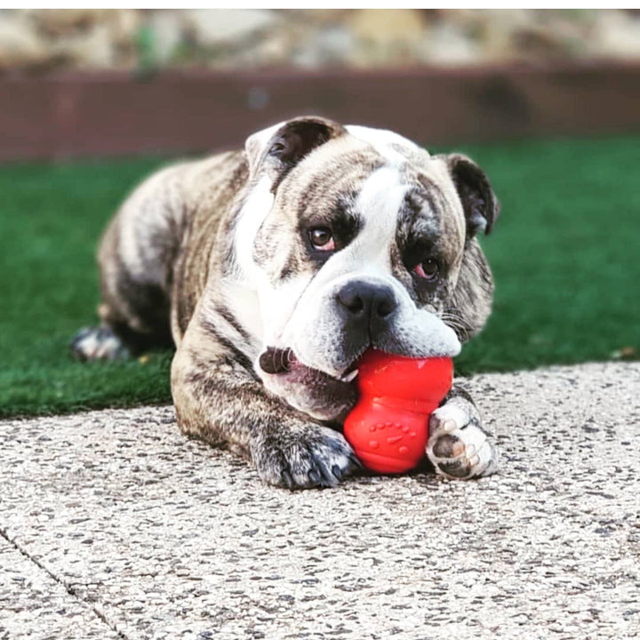 Snowman Rubber Treat Dispensing Dog Toy