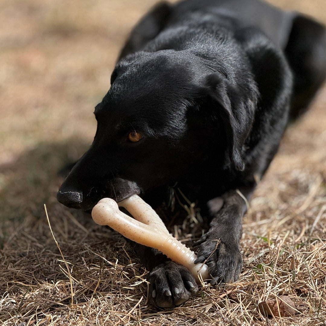 Wishbone Nylon Dog Chew Toy for Aggressive Chewers | USA Made