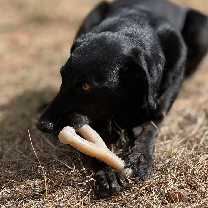 Wishbone Nylon Dog Chew Toy for Aggressive Chewers | USA Made