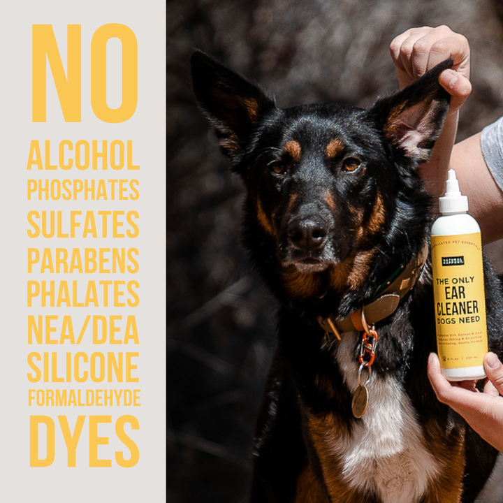The Only Ear Cleaner Dogs Need