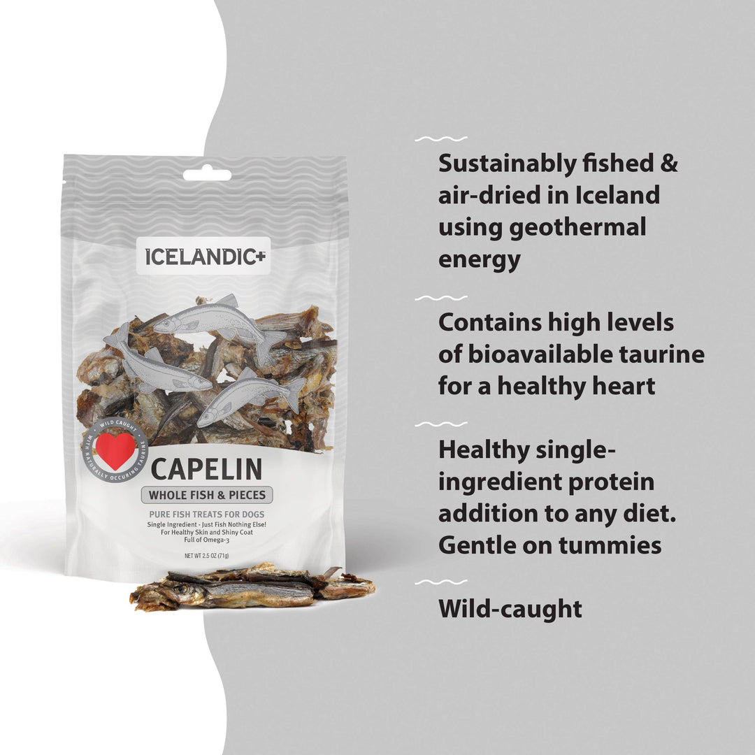 Capelin Whole Fish & Pieces Dog Treats