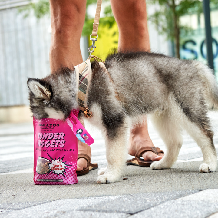 Wonder Nuggets, Turkey & Cranberry - 10oz - Dog Treats