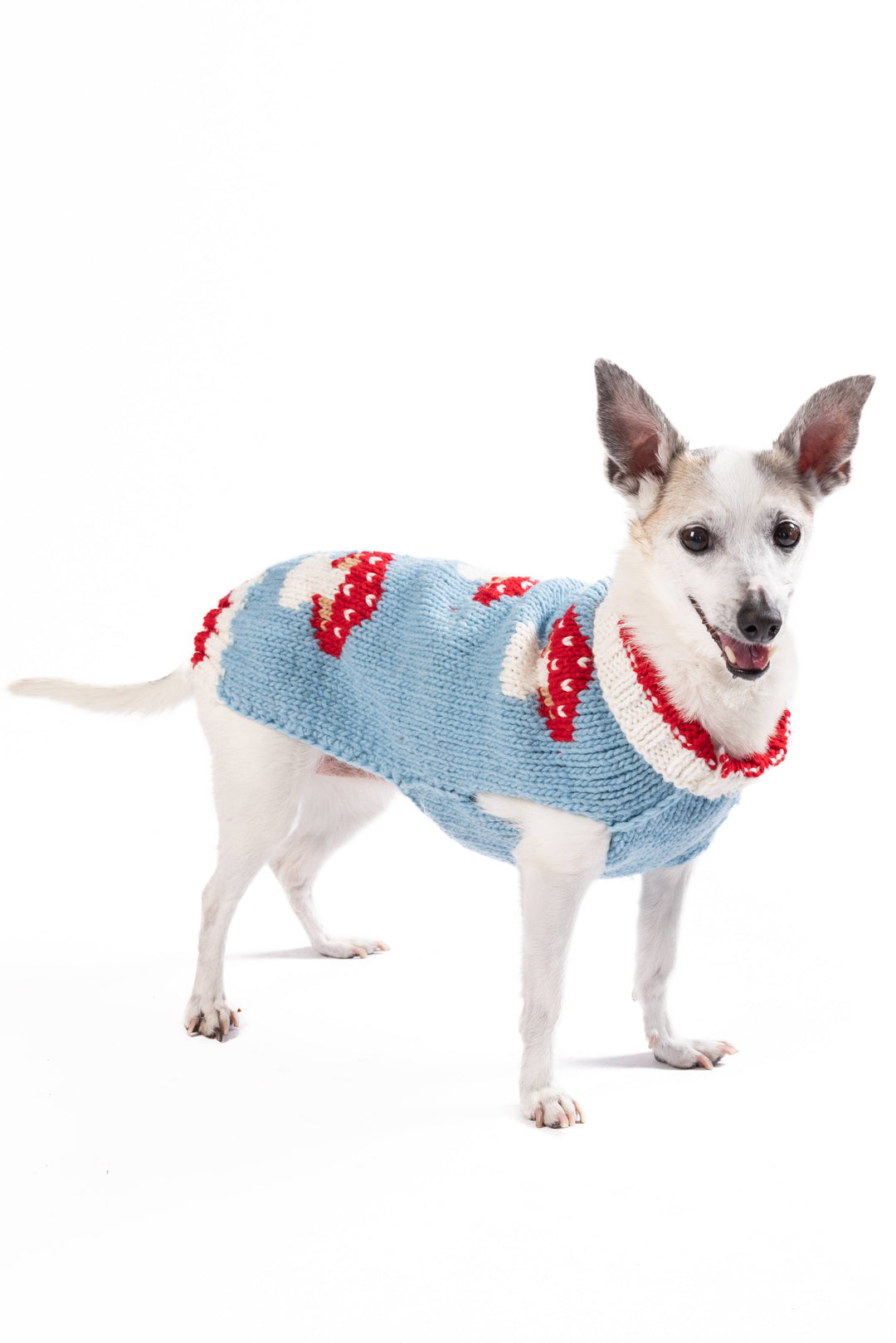 Mushroom Sweater