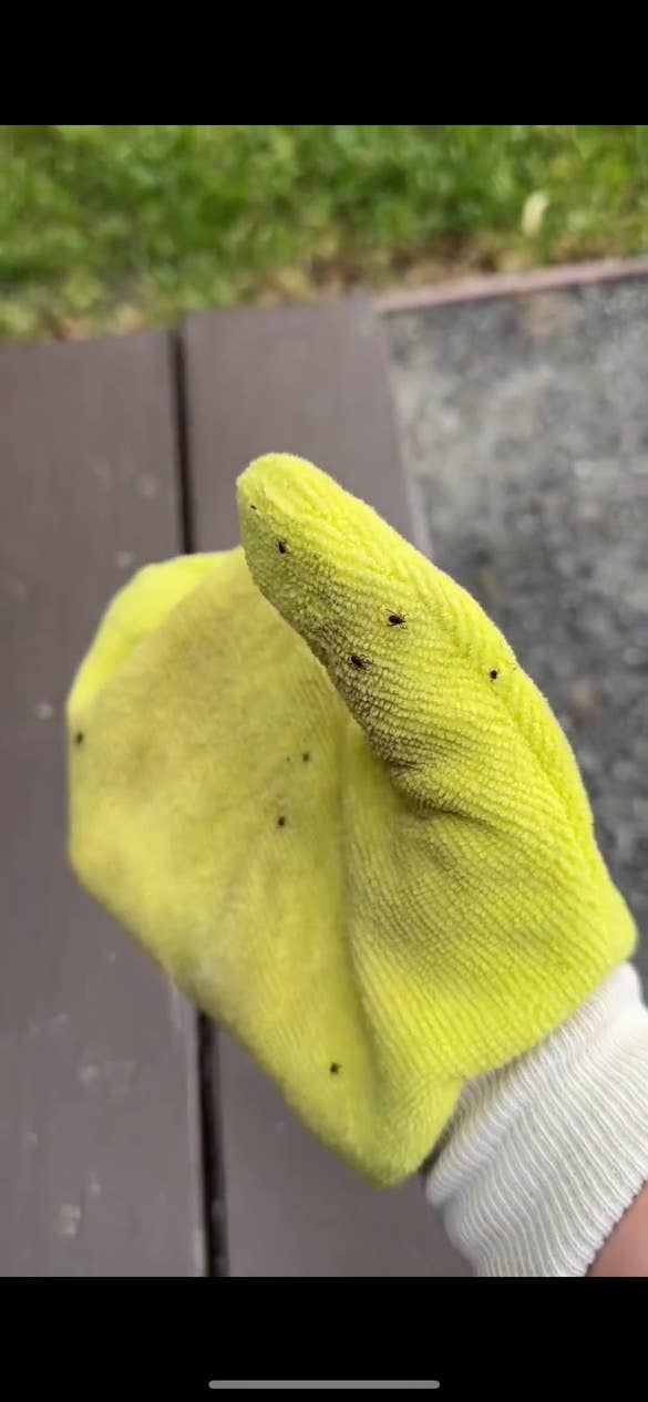 TiCK MiTT: Tick Remover