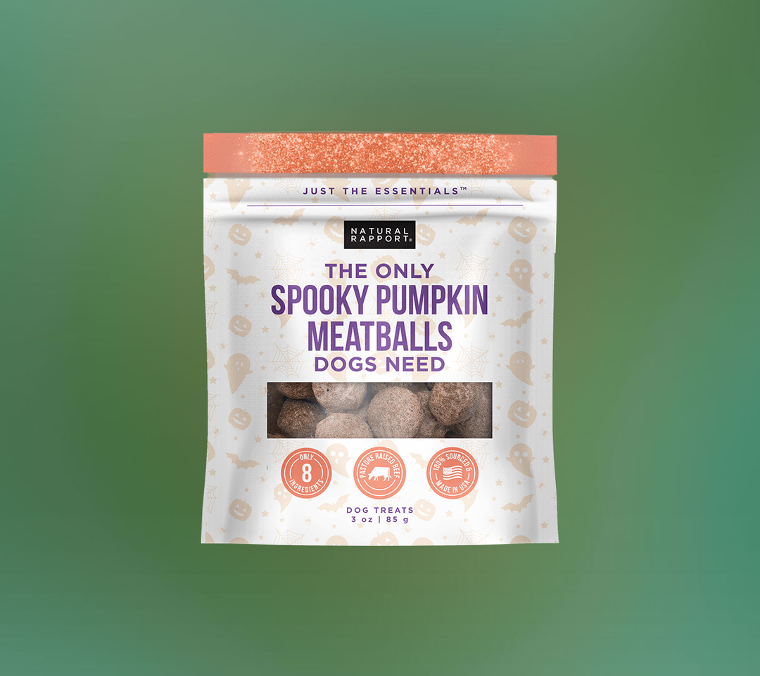 The Only Spooky Pumpkin Meatballs Dogs Need