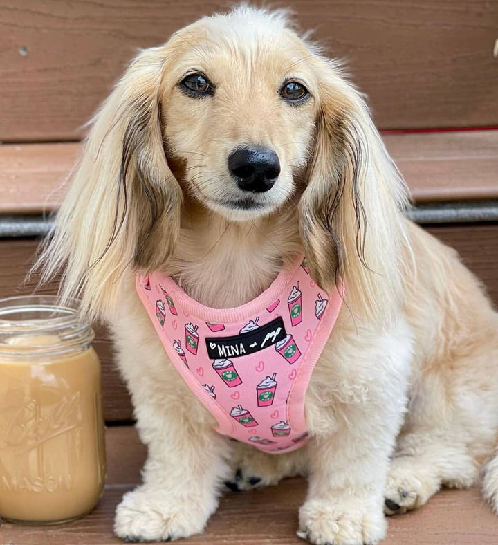 Pink Pupshake Adjustable Harness