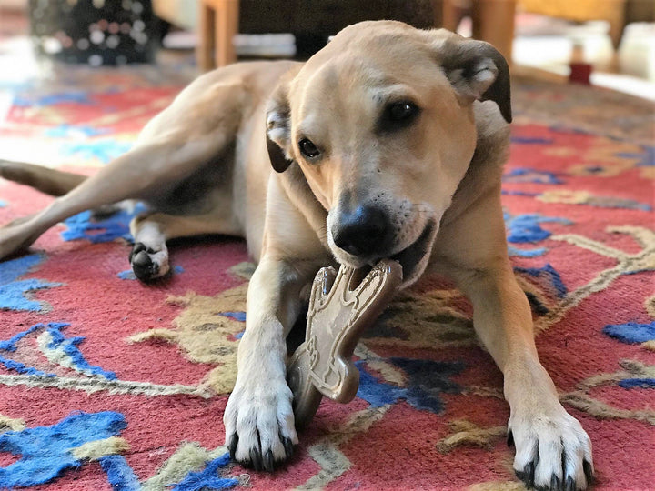 Gingerbread Man Nylon Chew Toy