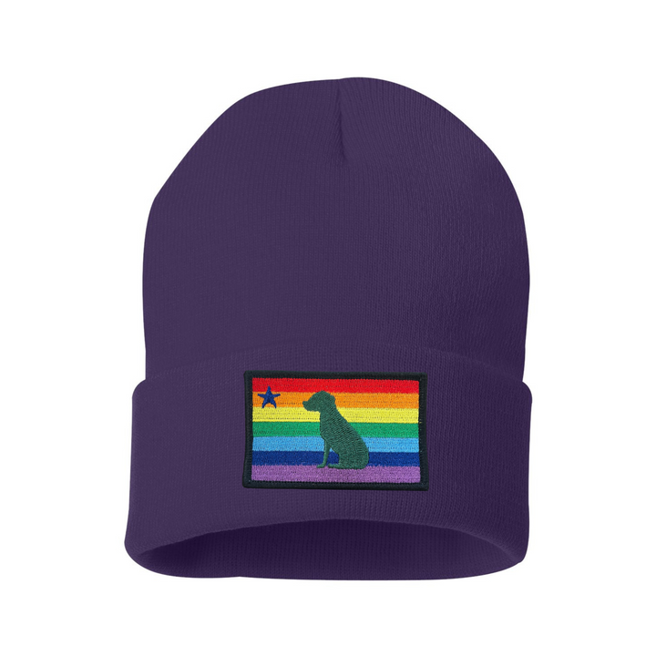 Rainbow Dog 1901 Maine Flag Beanie