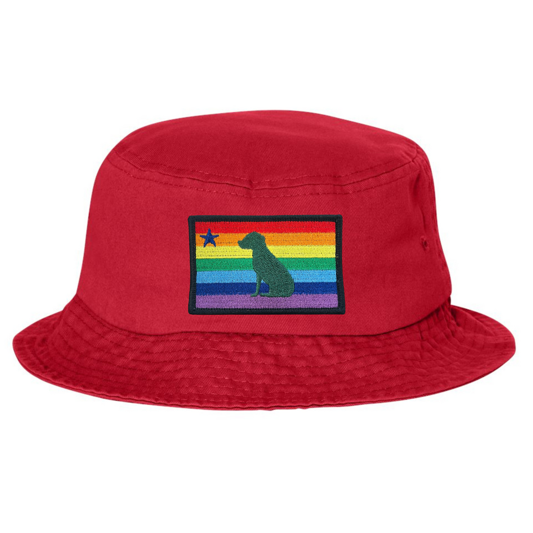 Rainbow Dog 1901 Maine Flag Bucket Hat