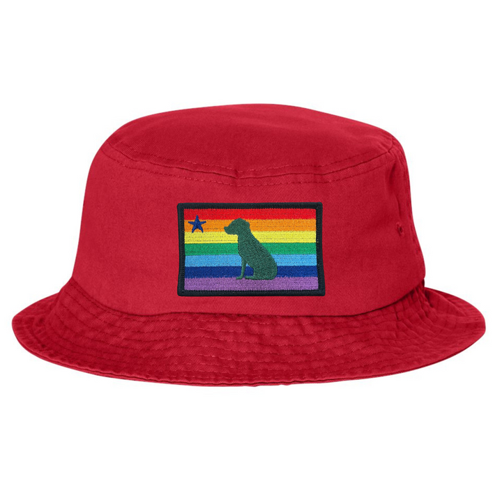 Rainbow Dog 1901 Maine Flag Bucket Hat