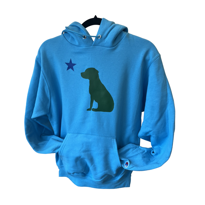 Dog 1901 Maine Flag Hoodie - Unisex
