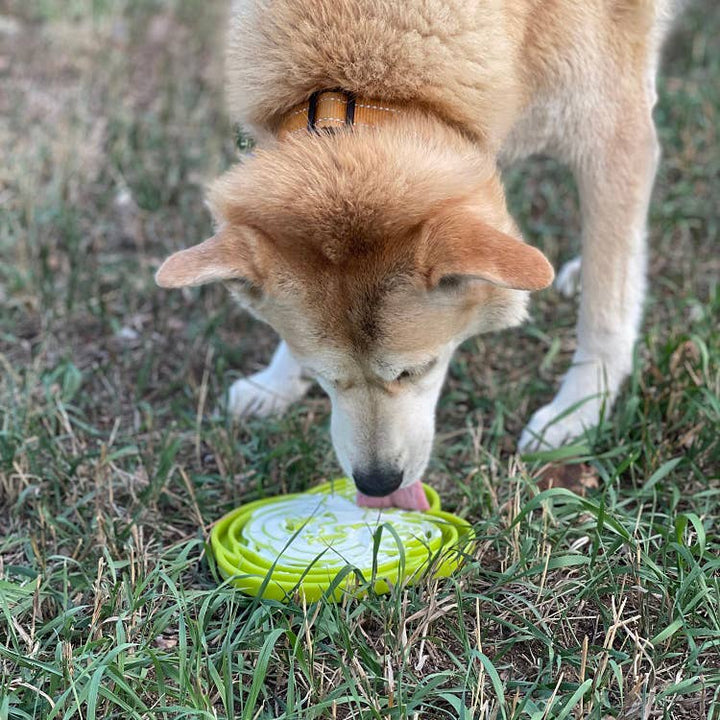 Water Frog Design eTray Enrichment Tray for Dogs - Green