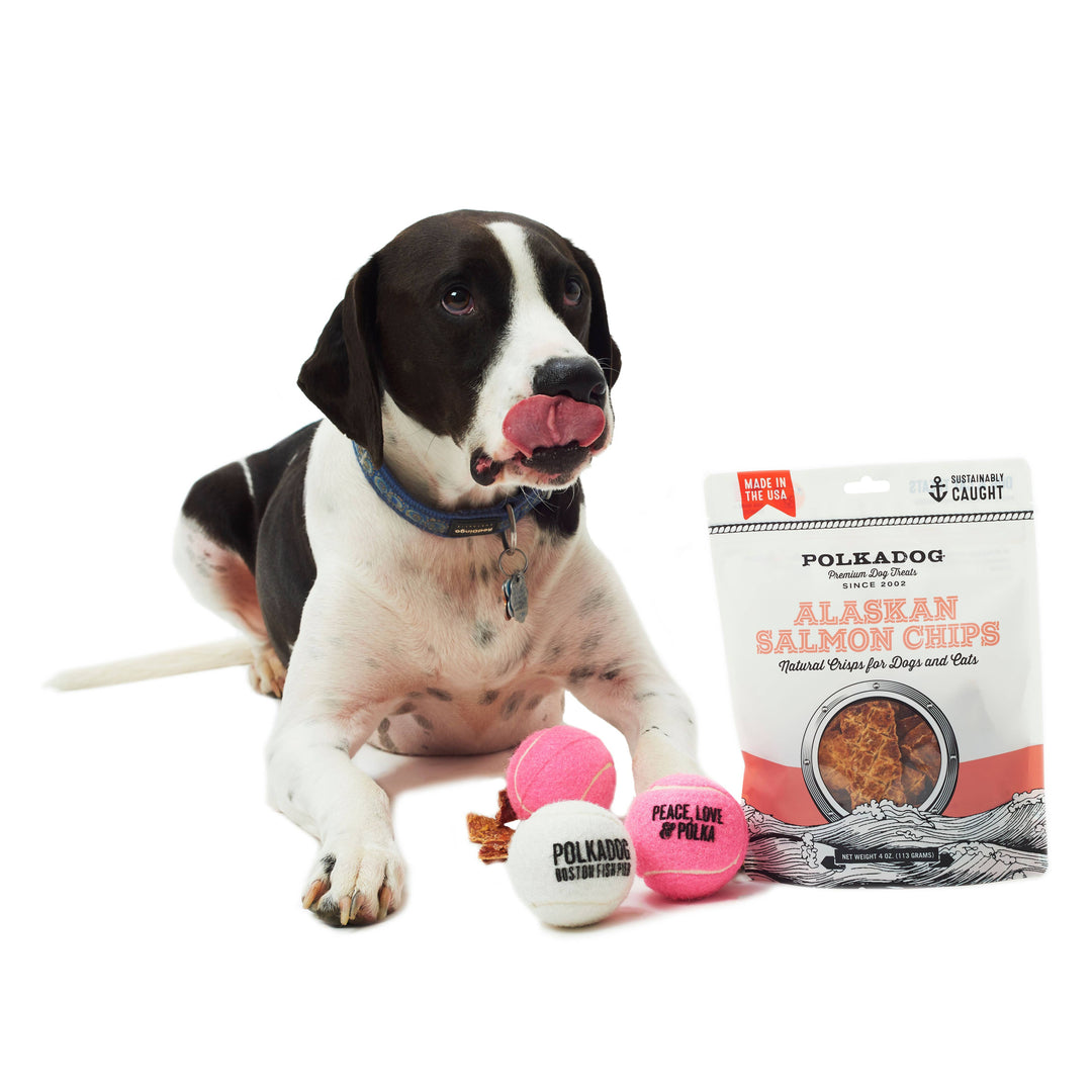Salmon Chips - 2.75oz - Dog Treats
