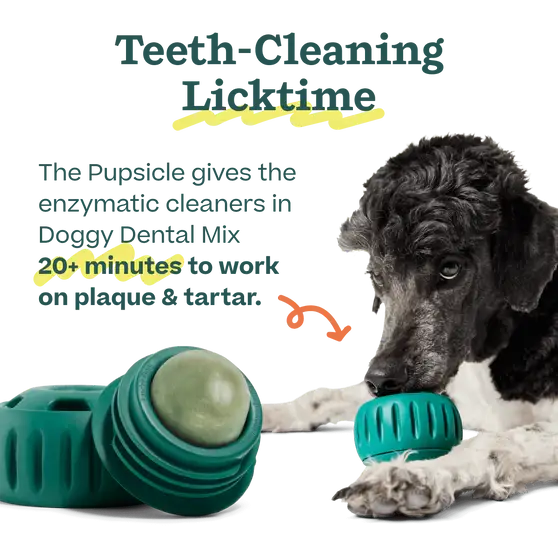 Pupsicle Mix- Doggy Dental