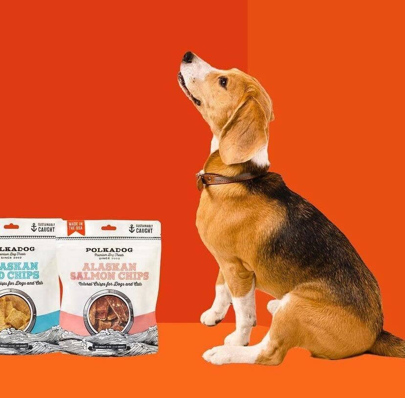 Salmon Chips - 2.75oz - Dog Treats