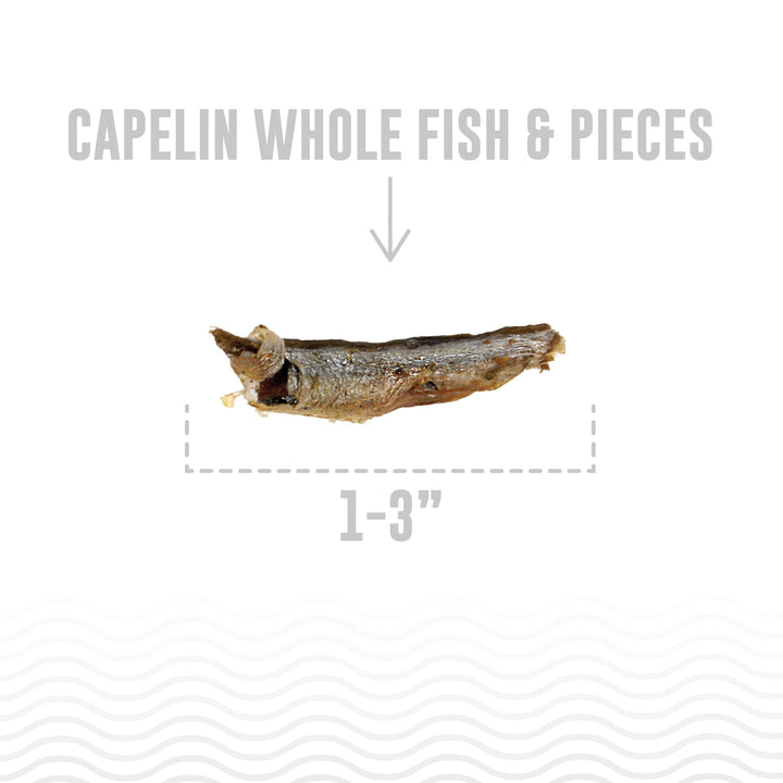 Capelin Whole Fish & Pieces Dog Treats