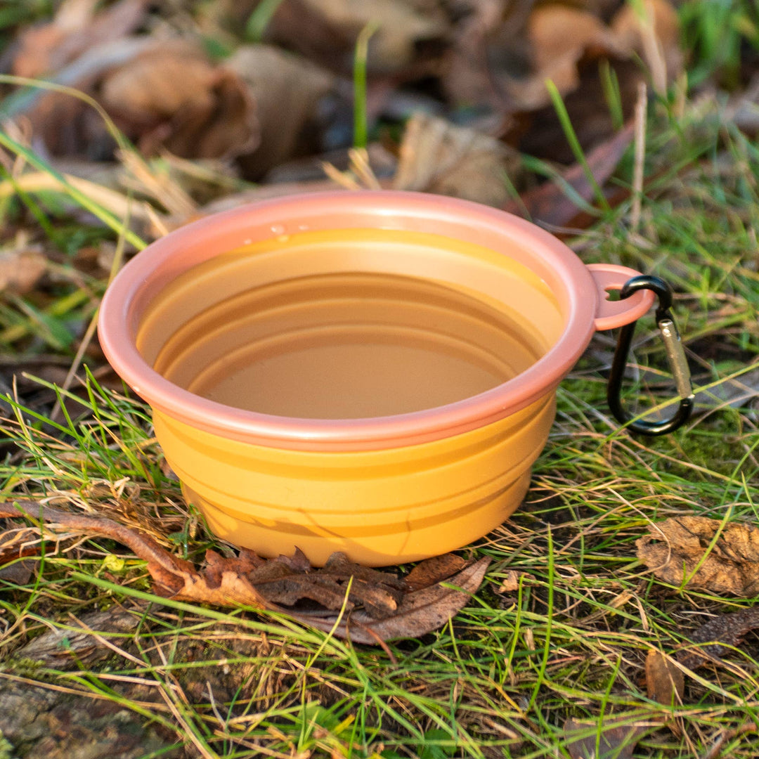 Portable Collapsible Pet Bowl
