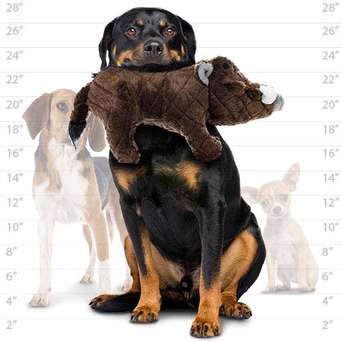 Mighty Safari Warthog - Brown, Plush, Squeaky Dog Toy