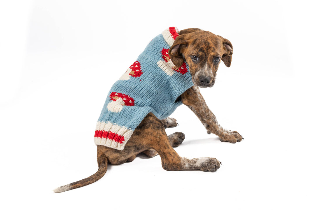 Mushroom Sweater