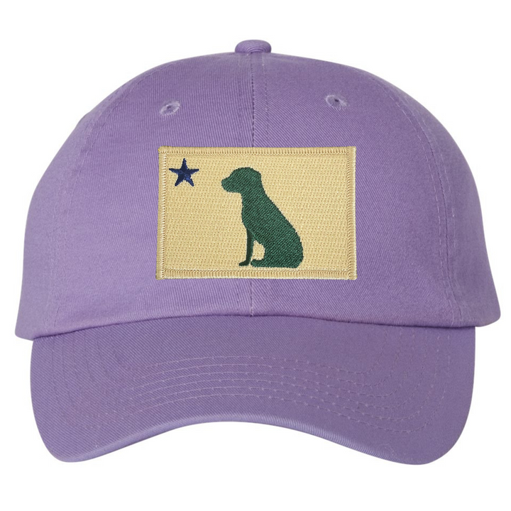 Dog 1901 Maine Flag Dad Hat