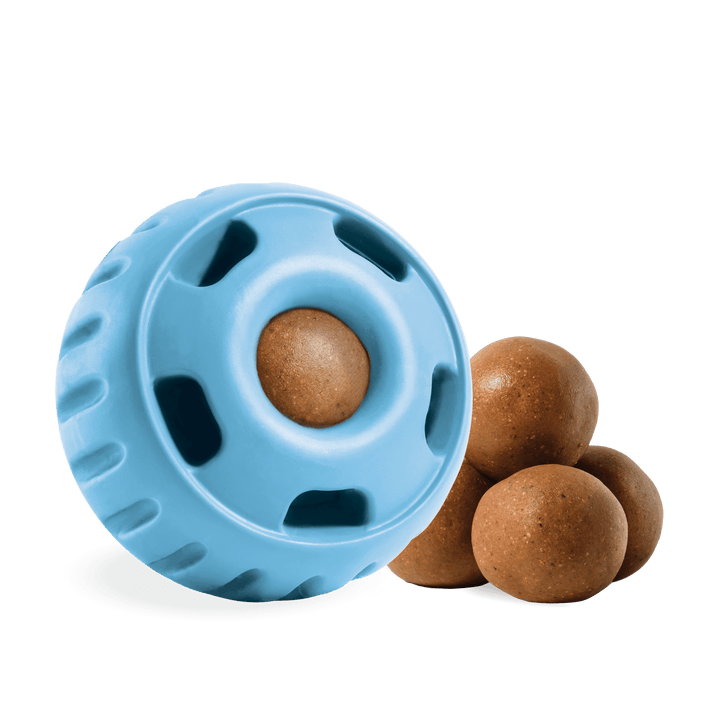 The Pupsicle - Exclusive Color Blue