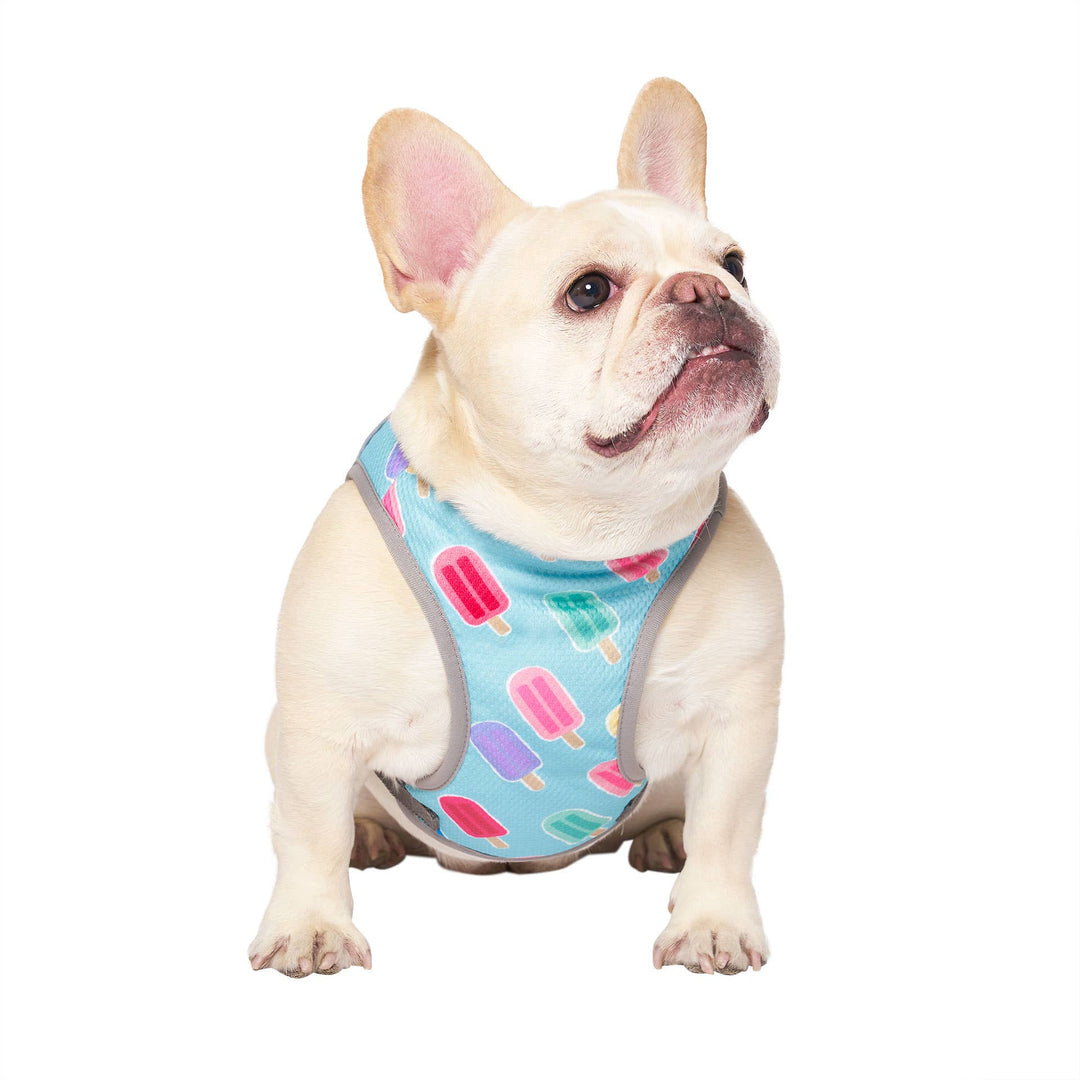 Chill Seeker Dog Cooling Dog Vest (Popsicles)