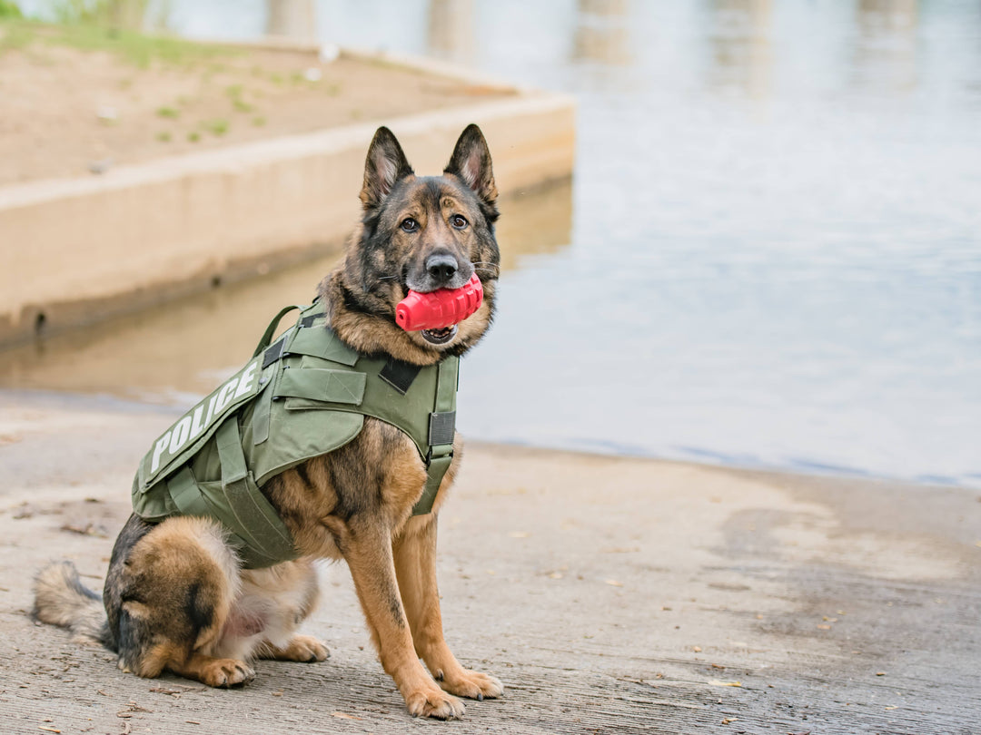 USA-K9 Grenade - Chew Toy - Red