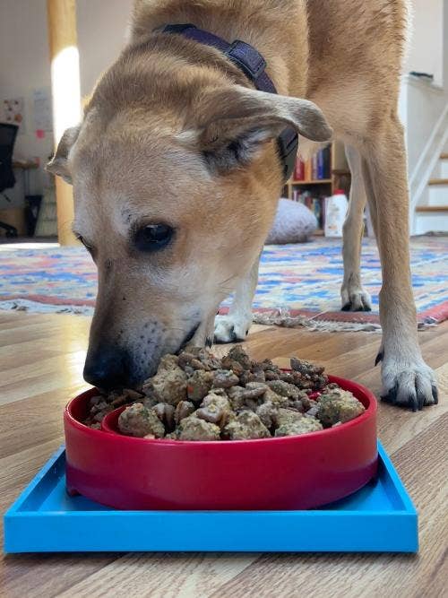 Hold 'em Suction Cup Holder for eBowls, eTrays, and eMats